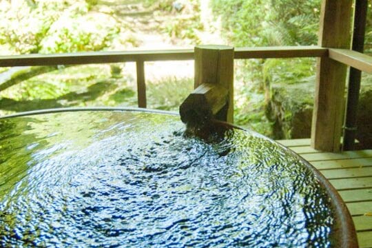 村杉温泉　風雅の宿　長生館
