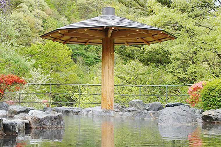 美味しい宿　豆富懐石　猿ヶ京ホテル