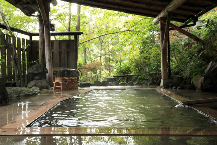 鳴子温泉郷　極上の貸切露天風呂　旅館大沼