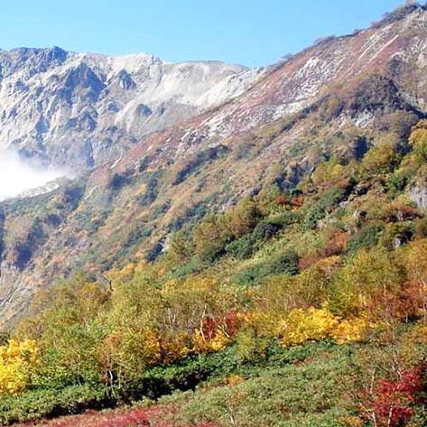 【長野県】白馬八方温泉　ホテル五龍館　紅葉の景色