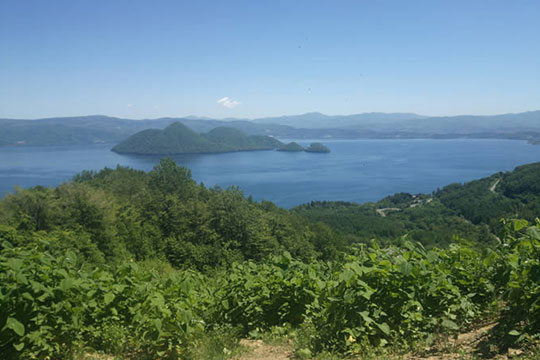 レイクトーヤランチ(ホーストレッキング)