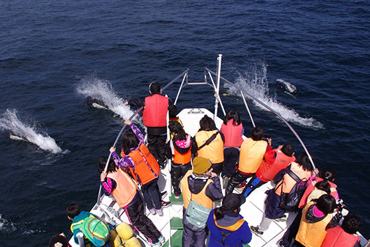 知床ネイチャークルーズ