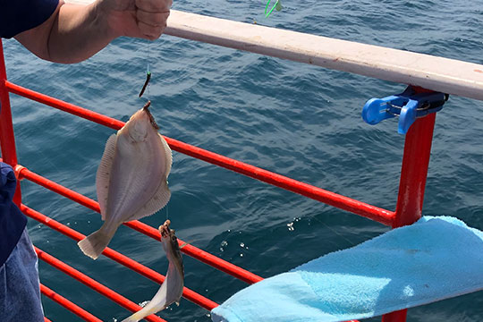 流氷砕氷船ガリンコ号Ⅱ