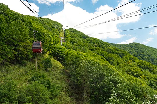 のぼりべつ クマ牧場