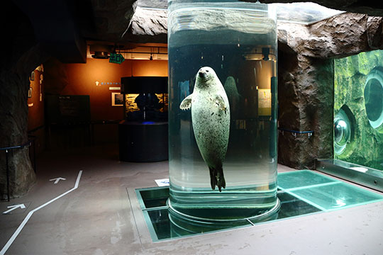 旭川市旭山動物園