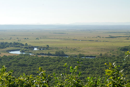 釧路湿原国立公園