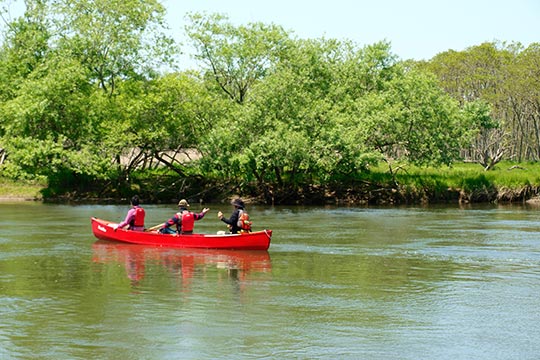 釧路湿原国立公園