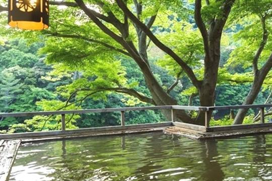 湯谷温泉 湯の風 HAZU