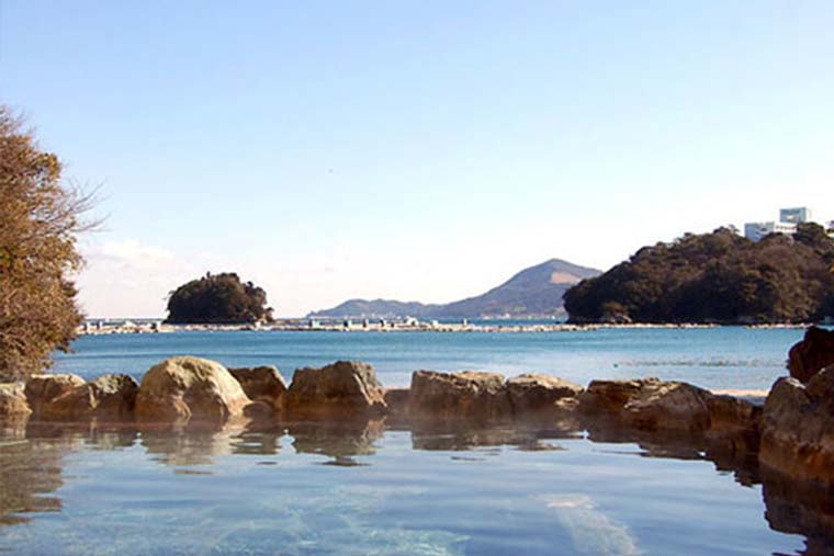 伊勢神宮のお膝元 鳥羽 胡蝶蘭