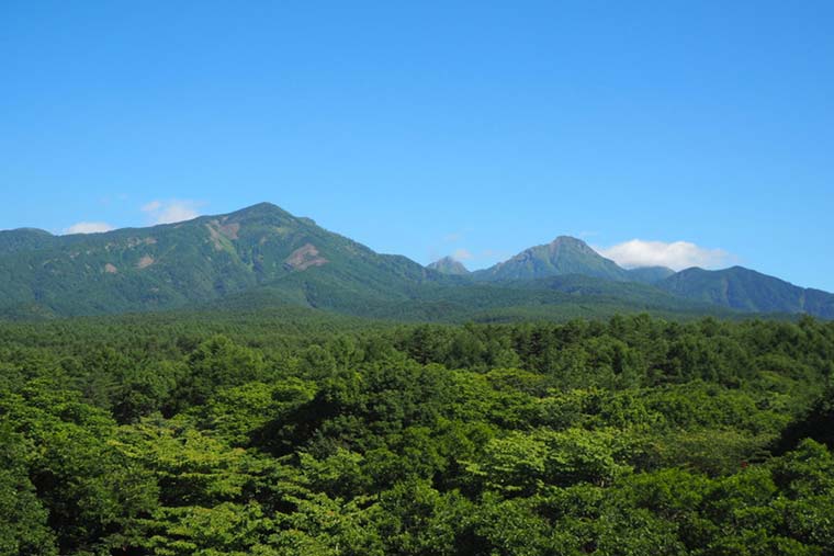 ロイヤルホテル　八ヶ岳　－ＤＡＩＷＡ　ＲＯＹＡＬ　ＨＯＴＥＬ－