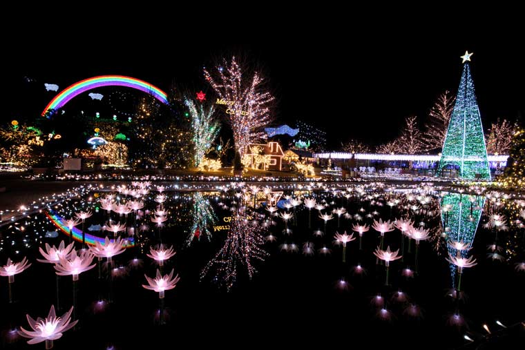 あしかがフラワーパーク