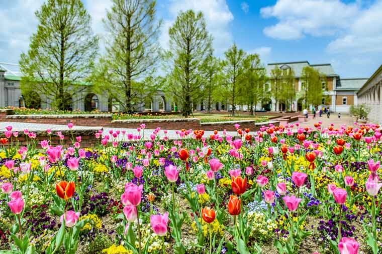 道の駅 神戸 フルーツ・フラワーパーク 大沢(おおぞう)