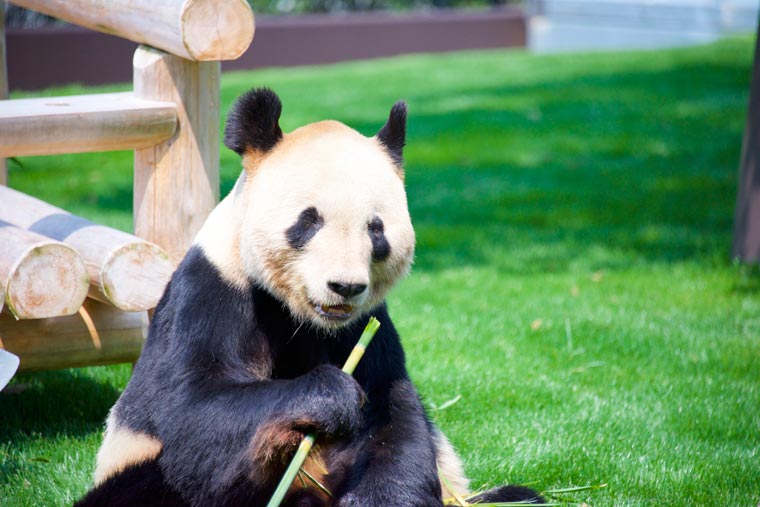 アドベンチャーワールド