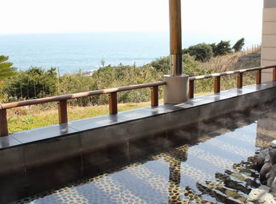 いそざき温泉　ホテルニュー白亜紀