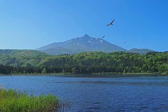 北海道　オタトマリ沼