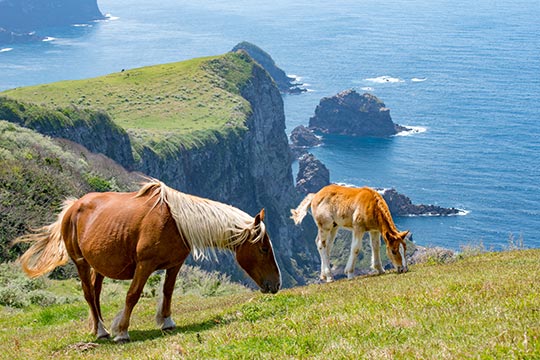 島根県　隠岐（西ノ島町）