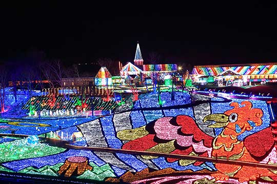 千葉県　東京ドイツ村