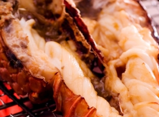 修善寺温泉　湯回廊　菊屋