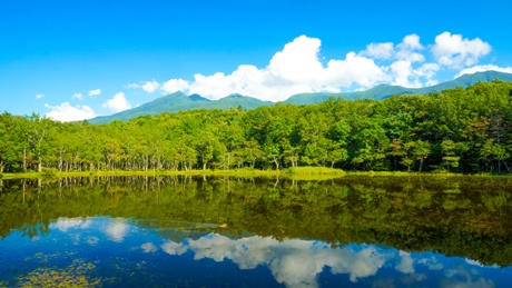 斜里町宇登呂　知床五湖