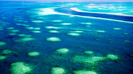 グレート・バリア・リーフ
