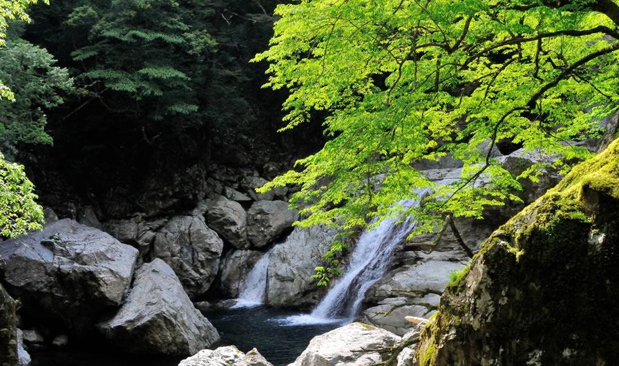 大杉谷（三重県）