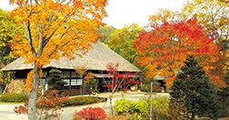 湯西川温泉　桓武平氏ゆかりの宿　平家の庄