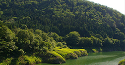 山里料理いそべ