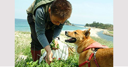 夕日ヶ浦温泉　本陣粋月