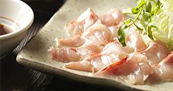 伊豆高原温泉　全室露天付客室の隠れ宿　花の雲