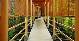 湯の川温泉　湯宿　草菴