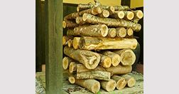 阿蘇乃やまぼうし