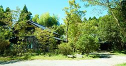 阿蘇乃やまぼうし