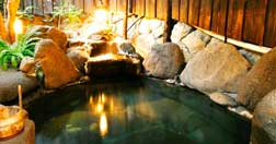 野趣あふれる露天風呂