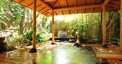 下賀茂温泉 花のおもてなし南楽