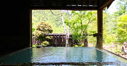 白骨温泉 小梨の湯 笹屋