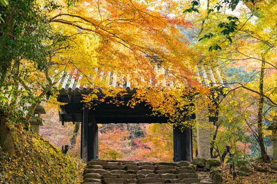 角館＜みちのくの小京都＞