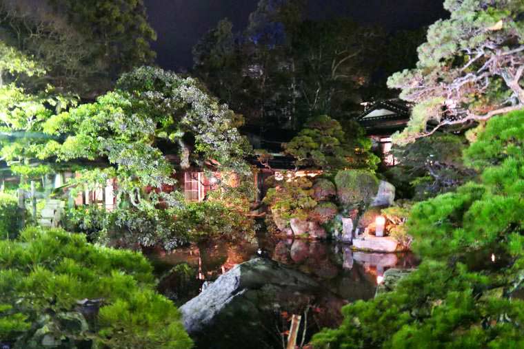 ライトアップされた池庭