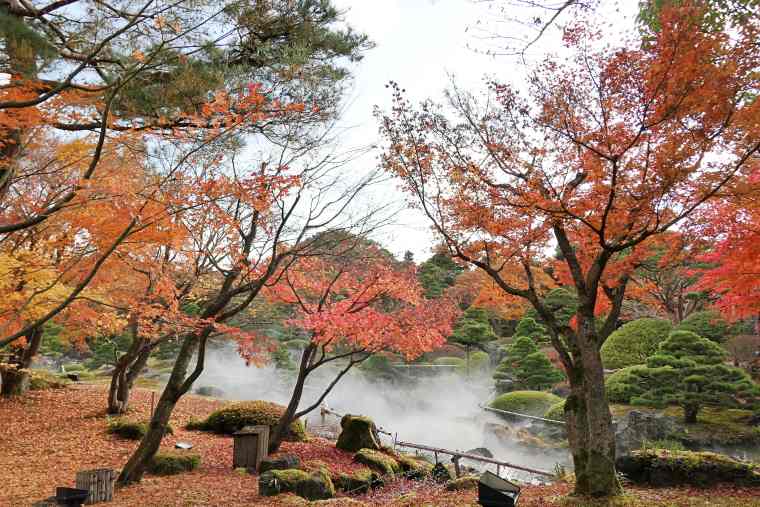 由志園の紅葉