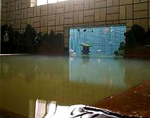 肘折温泉　西本屋旅館