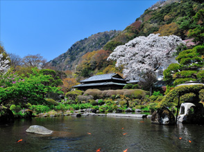 箱根湯本温泉　吉池旅館