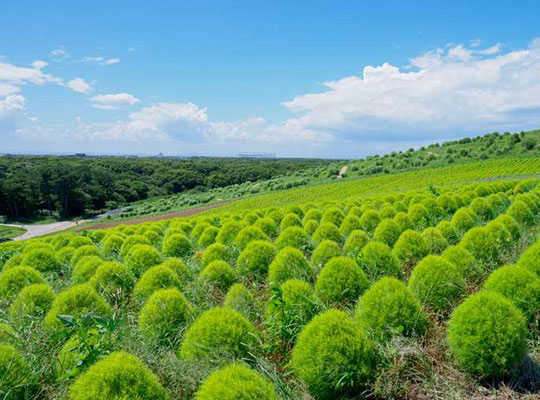 阿字ヶ浦海水浴場