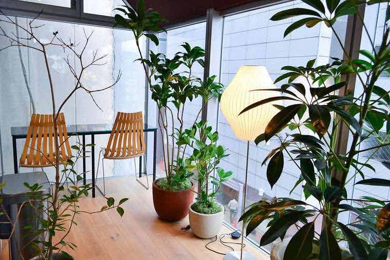 「ナインアワーズ浅草」女性専用のカプセルフロア