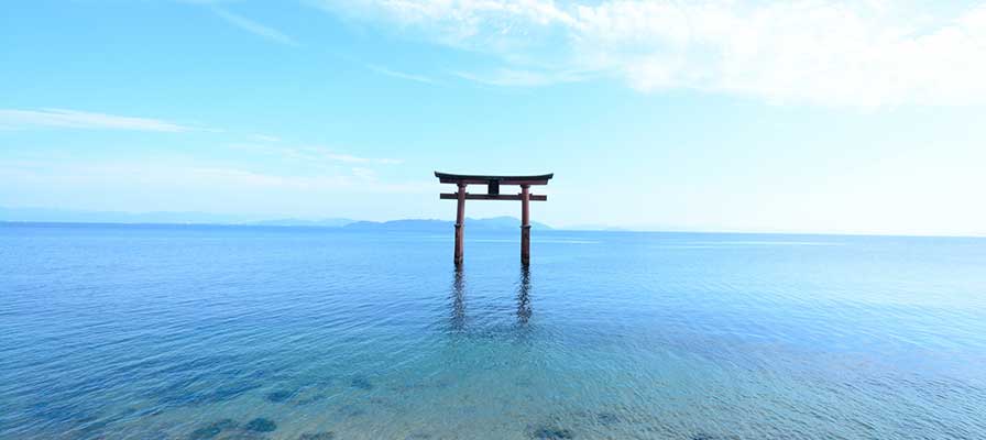 琵琶湖の鳥居（白鬚神社）