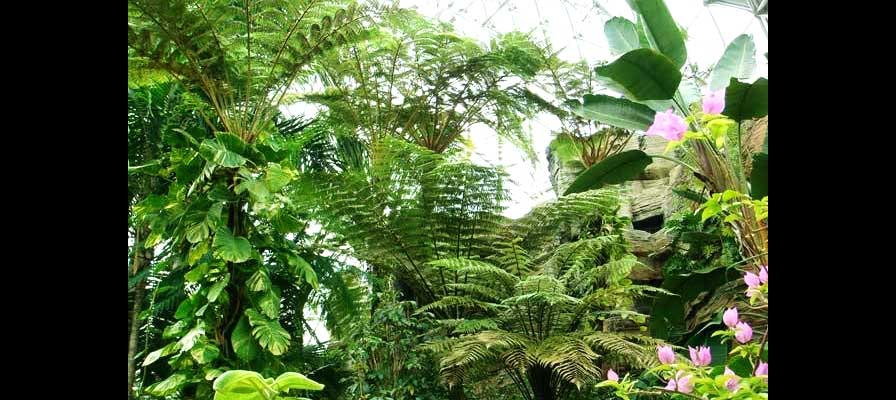 新潟県立植物園