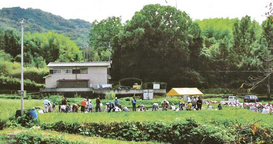 山城多賀フルーツライン