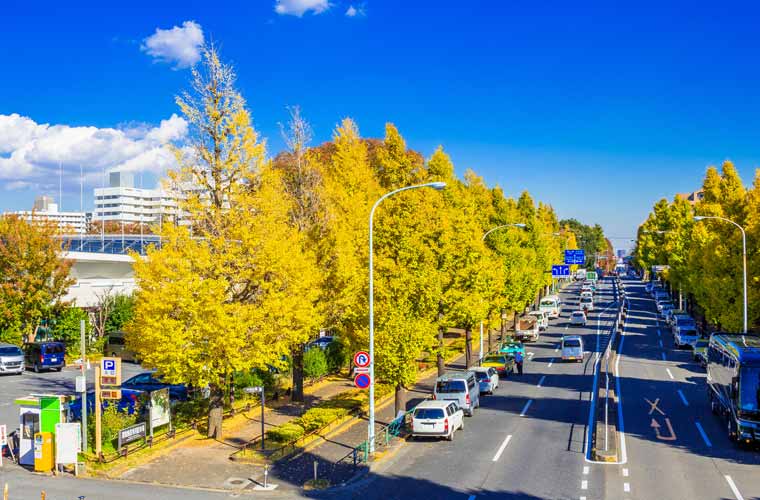 駒沢オリンピック公園