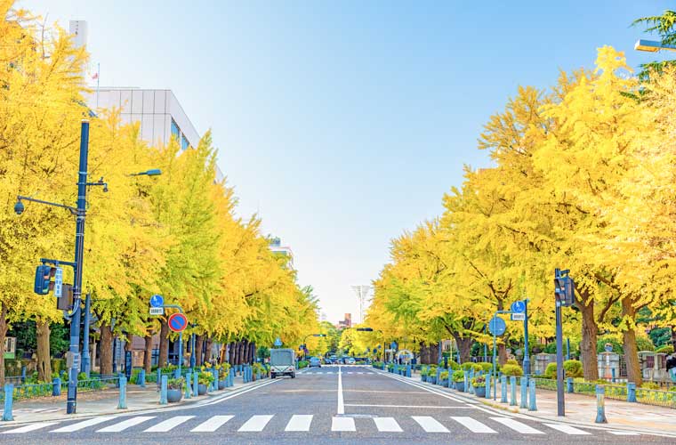 日本大通り・山下公園通り