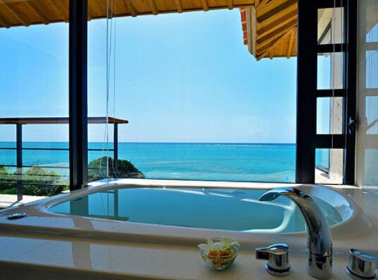 百名伽藍－Hyakuna Garan