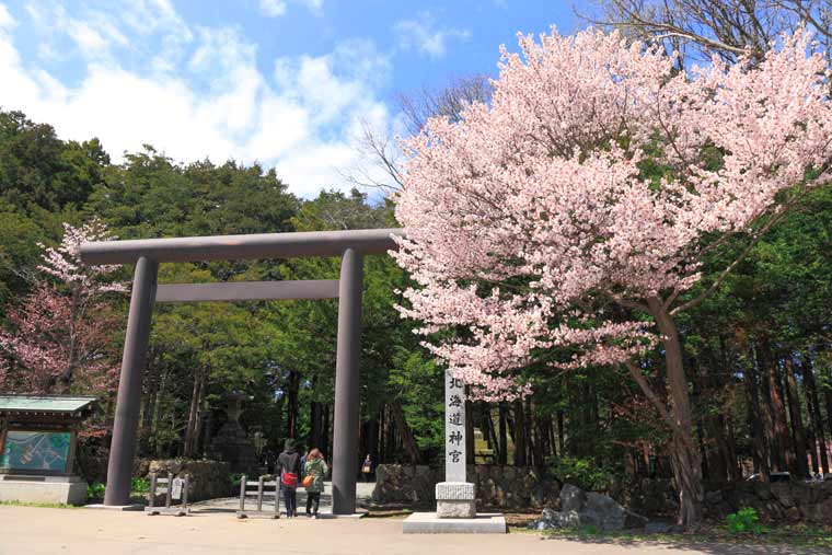 北海道神宮