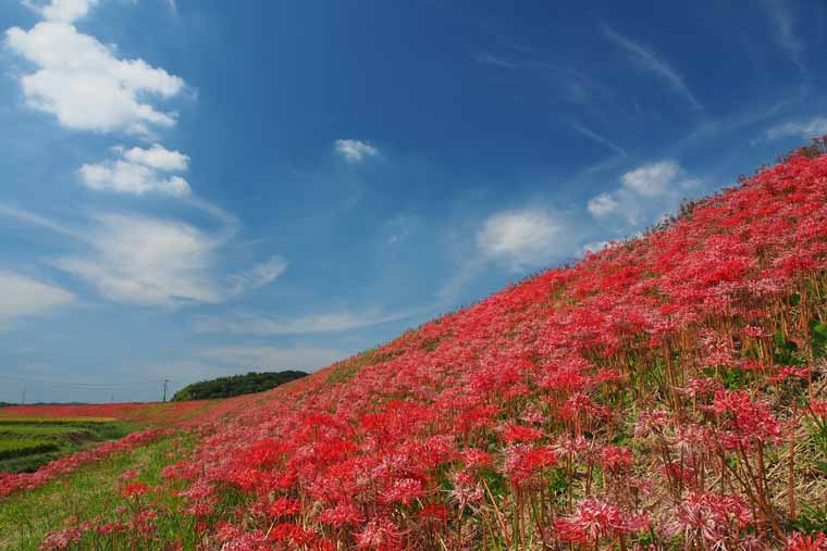 矢勝川・新美南吉記念館周辺